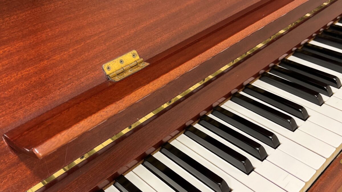 春の無料体験会開催！