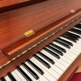 春の無料体験会開催！