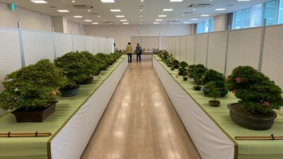 いび　花と緑のまつり　開催中です！